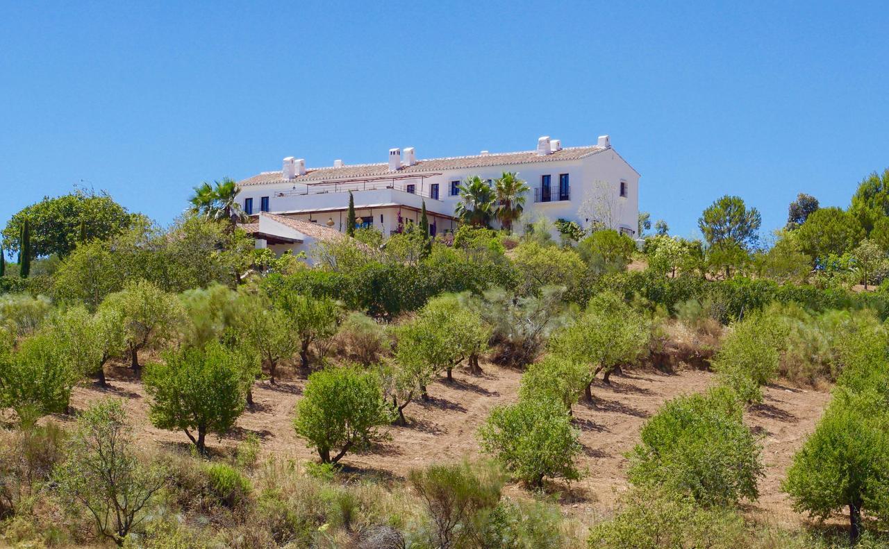 La Posada Del Torcal Bed & Breakfast Villanueva de la Concepción Exterior photo